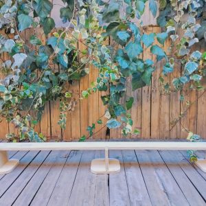 Barra de equilibrio de madera