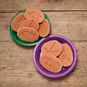 Piedras sensoriales "Dinosaurio"